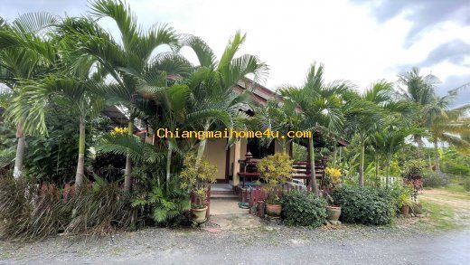 2 Bedroom House For Rent In Pa Bong, Chiang Mai