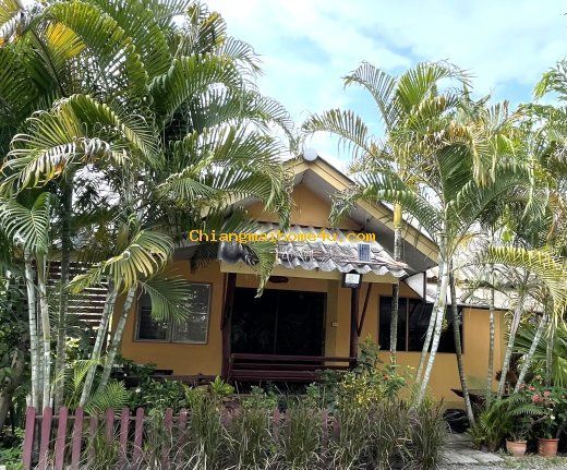1 Bedroom House For Rent In Pa Bong, Chiang Mai