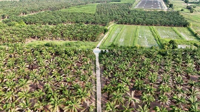 Land for sale In Khlong Kio Pattaya
