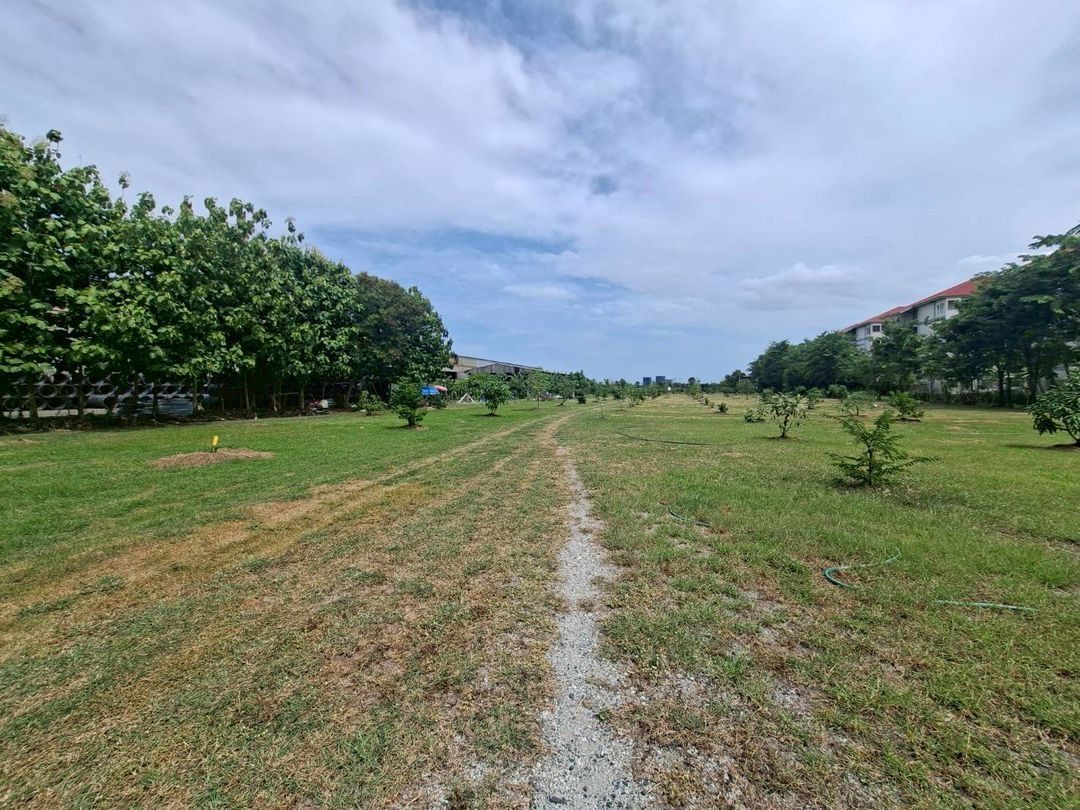 Land for sale In Phraeksa Samut Prakan