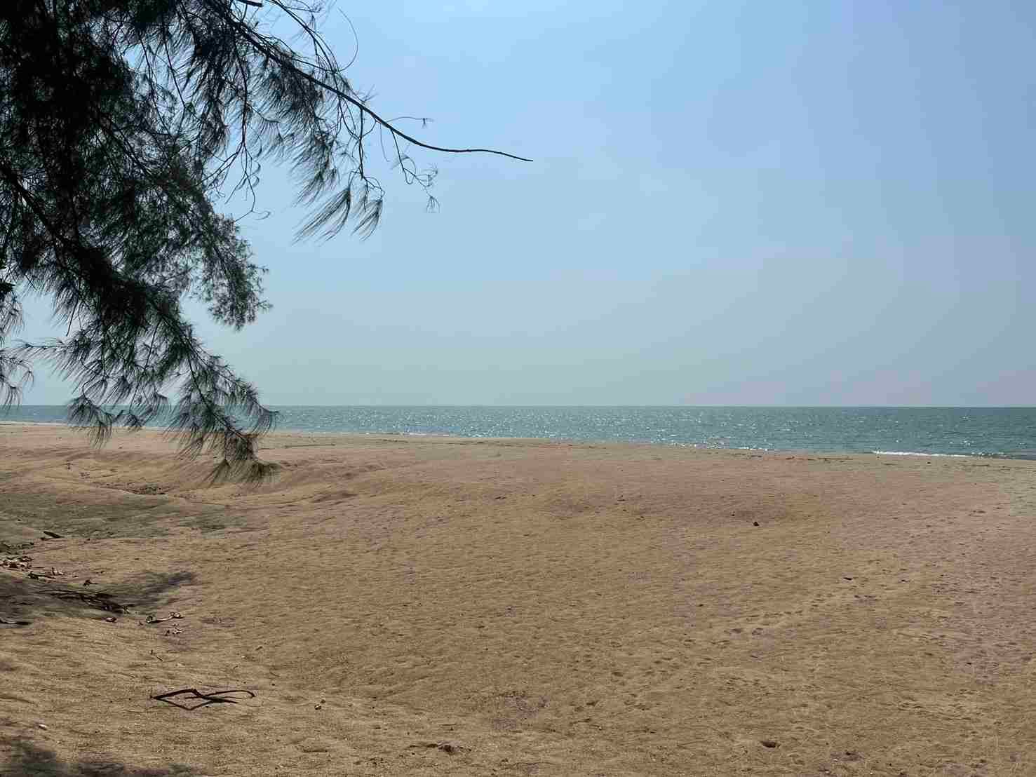 Land for sale In Mo Phangnga
