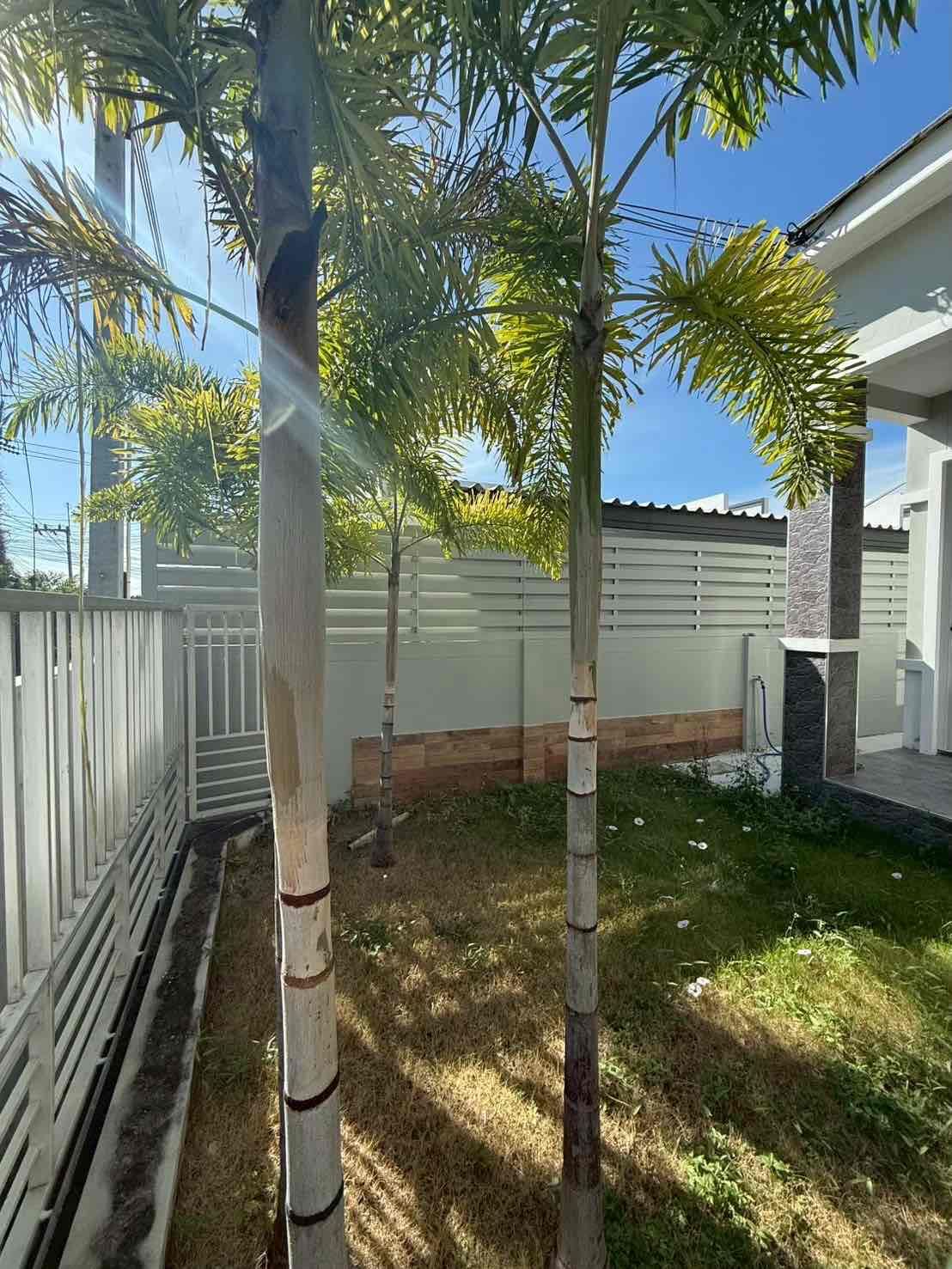 3 Bedroom House For Rent In Nong Prue, Chon Buri