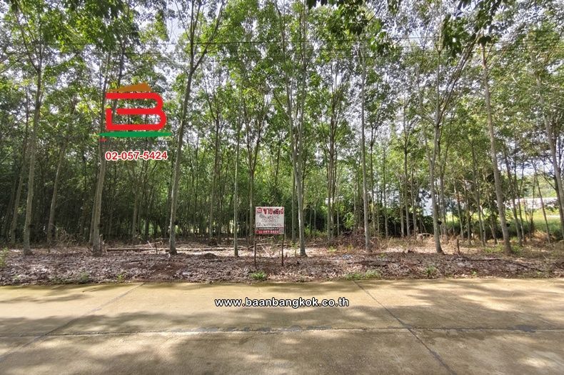 Land for sale In Phlong Ta Iam Rayong