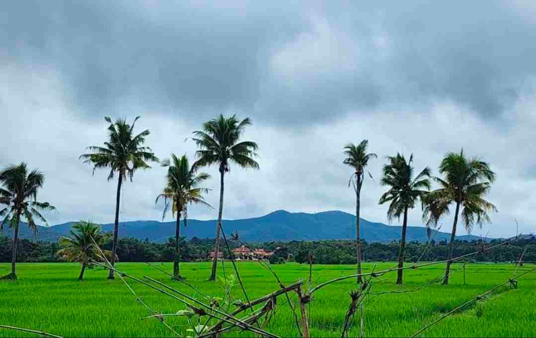 Land for sale In Luang Nuea Chiang Mai