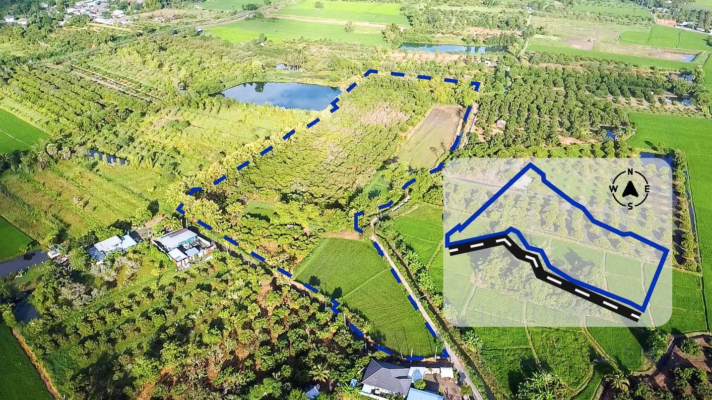 Land for sale In Han Kaeo Chiang Mai