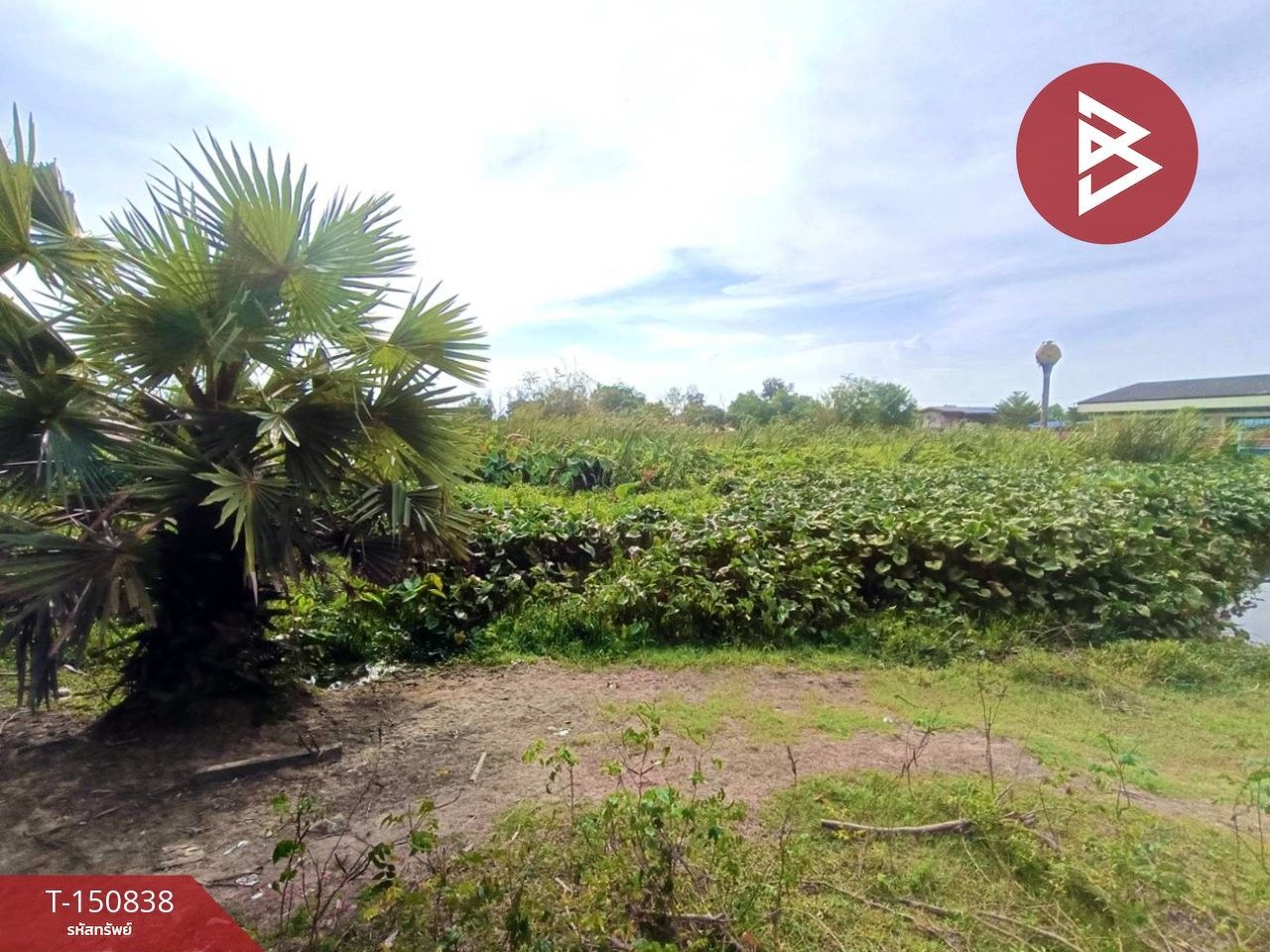 Land for sale In Ban Chang Pattaya