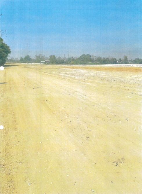 Land for sale In San Pu Loei Chiang Mai