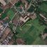  Land for sale in Floridablanca, Central Luzon, Floridablanca