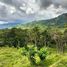  Terreno (Parcela) en venta en Andalucia, Valle Del Cauca, Andalucia