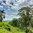  Terreno (Parcela) en venta en Andalucia, Valle Del Cauca, Andalucia