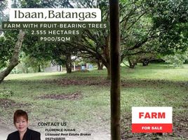  Land for sale in Ibaan, Batangas, Ibaan