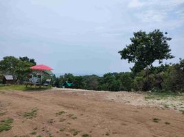  Land for sale in Calatagan, Batangas, Calatagan