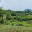  Land for sale in Calatagan, Batangas, Calatagan