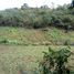  Land for sale in Borbon, Cebu, Borbon