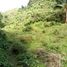  Land for sale in Borbon, Cebu, Borbon