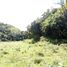  Land for sale in Cebu Central Visayas, Borbon