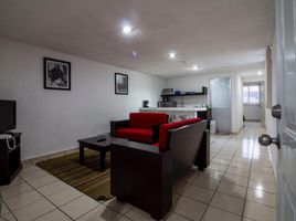 1 Habitación Departamento en alquiler en San Jeronimo Tecuanipan, Puebla, San Jeronimo Tecuanipan, Puebla