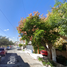 2 Habitación Casa en venta en Linares, Nuevo León, Linares