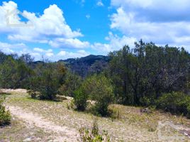 Terrain à vendre à Pachuca De Soto, Hidalgo, Pachuca De Soto