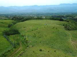  Land for sale in Pereira, Risaralda, Pereira