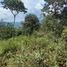  Land for sale in Cali, Valle Del Cauca, Cali