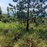  Land for sale in Cali, Valle Del Cauca, Cali