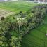  Land for sale in Ubud, Gianyar, Ubud