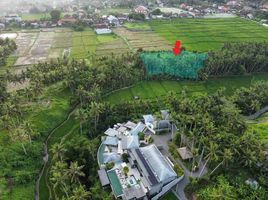  Tanah for sale in Ubud, Gianyar, Ubud