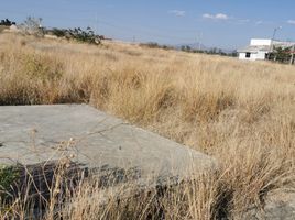  Land for sale in Silao, Guanajuato, Silao