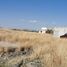  Land for sale in Silao, Guanajuato, Silao