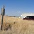  Land for sale in Silao, Guanajuato, Silao