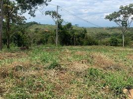  Land for sale in Jamundi, Valle Del Cauca, Jamundi