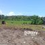  Land for sale in Kediri, Tabanan, Kediri