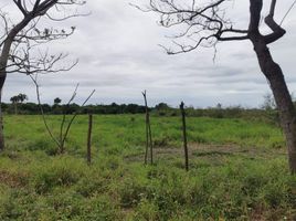  Terrain for sale in Medellin, Veracruz, Medellin