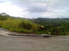  Grundstück zu verkaufen in Mandaue City, Central Visayas, Mandaue City