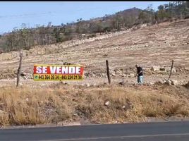  Terreno (Parcela) en venta en Morelia, Michoacán, Morelia