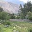  Terrain for sale in Urubamba, Cusco, Urubamba, Urubamba