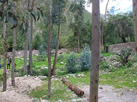  Grundstück zu verkaufen in Urubamba, Cusco, Urubamba