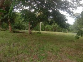  Land for sale in Cavite, Calabarzon, Tagaytay City, Cavite