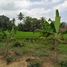  Grundstück zu verkaufen in Gianyar, Bali, Tegallalang