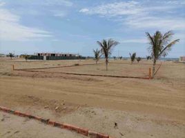  Terreno (Parcela) en venta en Los Organos, Talara, Los Organos