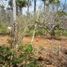  Land for sale in Puerto Princesa City, Mimaropa, Puerto Princesa City, Palawan, Mimaropa