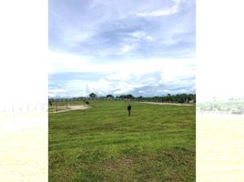  Land for sale in Calamba City, Laguna, Calamba City