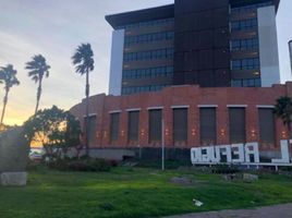110 平米 Office for rent in FazWaz.cn, Queretaro, Queretaro, 墨西哥