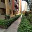 Appartement 3 chambre à vendre à Los Olivos, Lima, Los Olivos, Lima, Lima