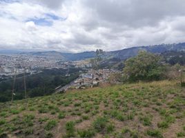  Terrain for sale in Tungurahua, Augusto N Martinez Mundugleo, Ambato, Tungurahua