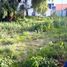  Land for sale in Atenco, Mexico, Atenco