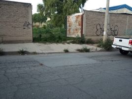  Land for sale in Atenco, Mexico, Atenco