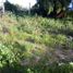  Land for sale in Atenco, Mexico, Atenco