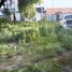  Land for sale in Atenco, Mexico, Atenco